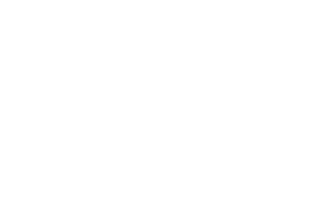 Dr. Berry